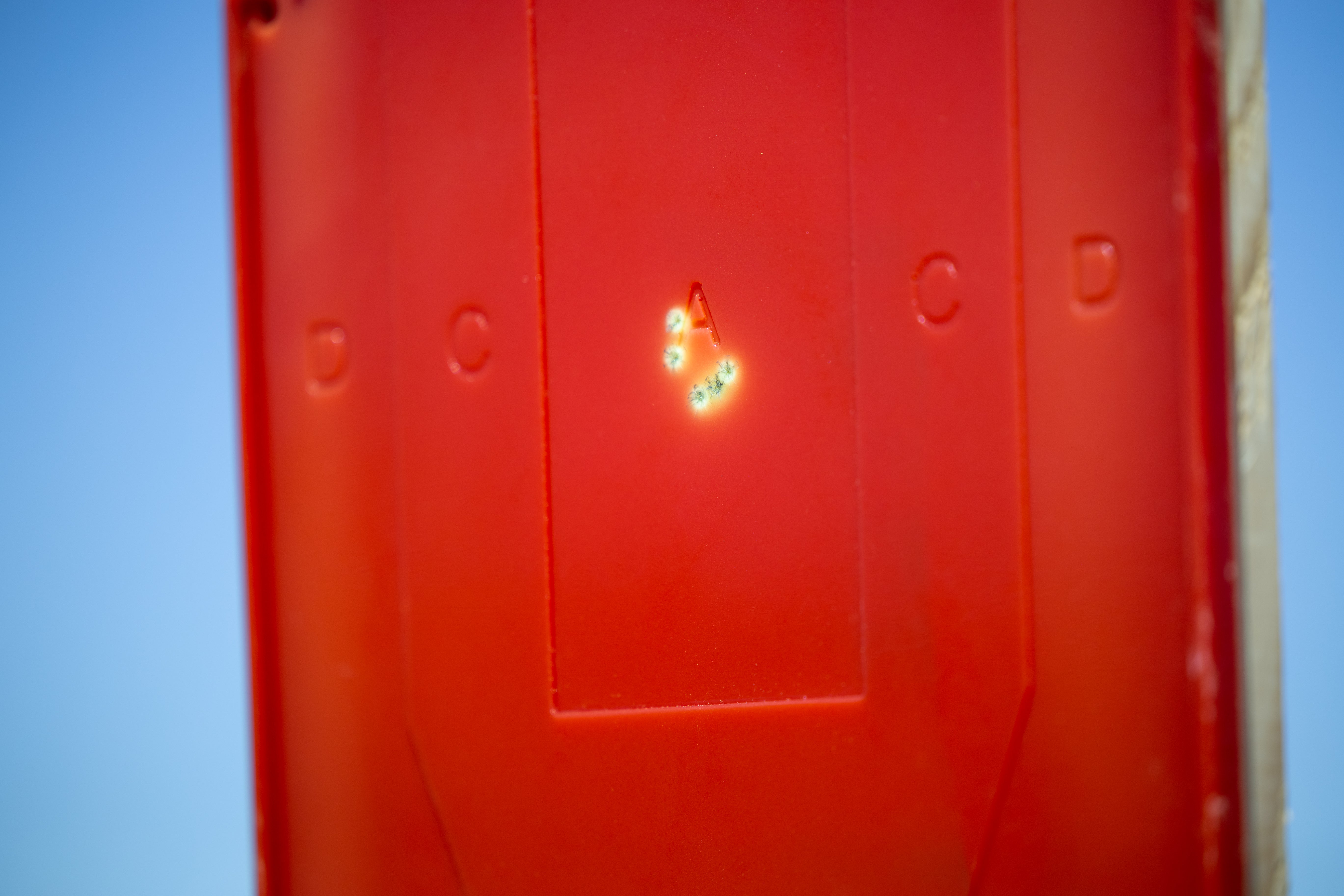 Full-Size Silhouette Color-Changing Target