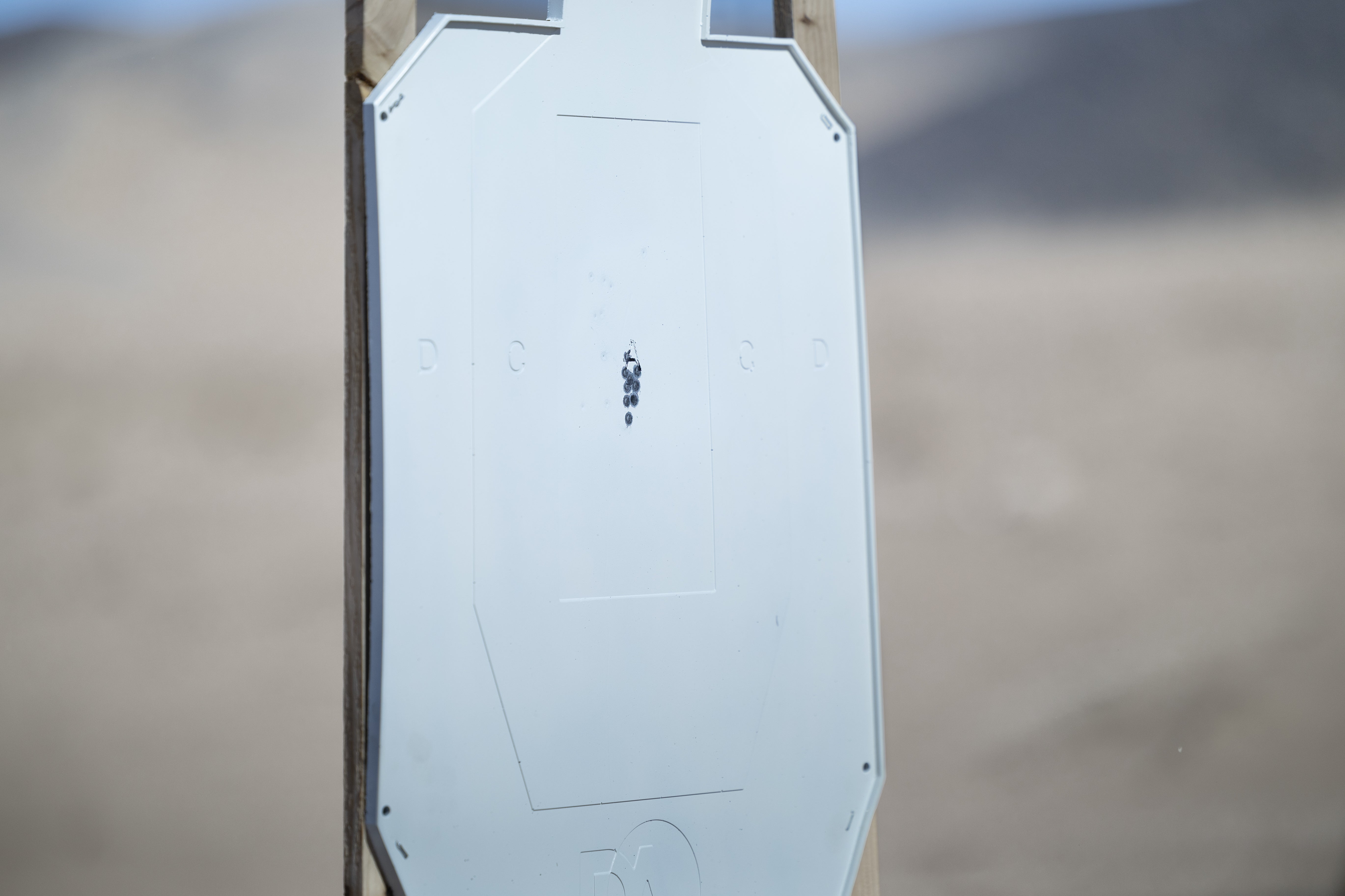 Paintable Silhouette Targets