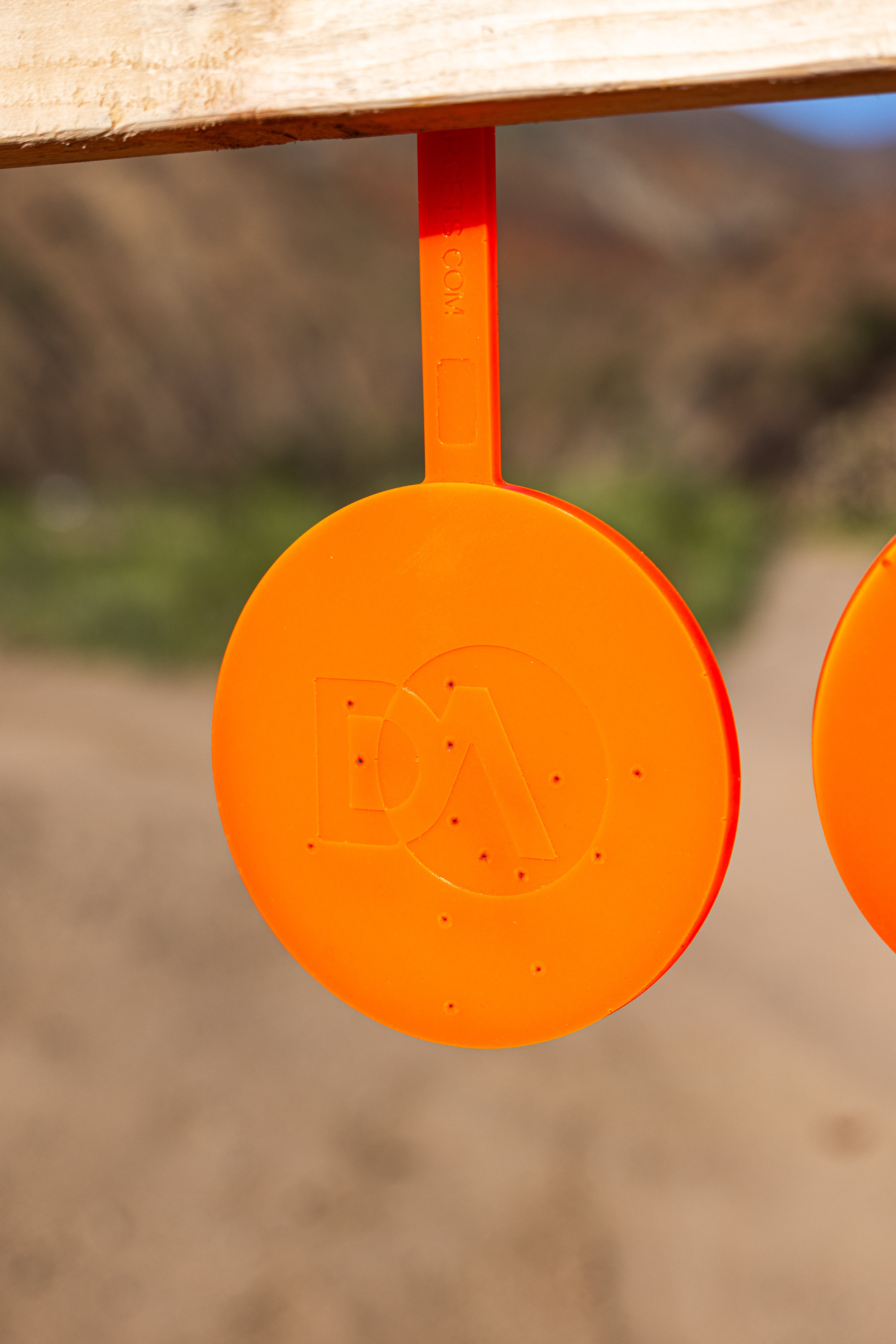 6" Gong Target Non-Color Changing